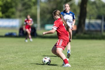 Bild 113 - wBJ HSV Leistungsvergleich